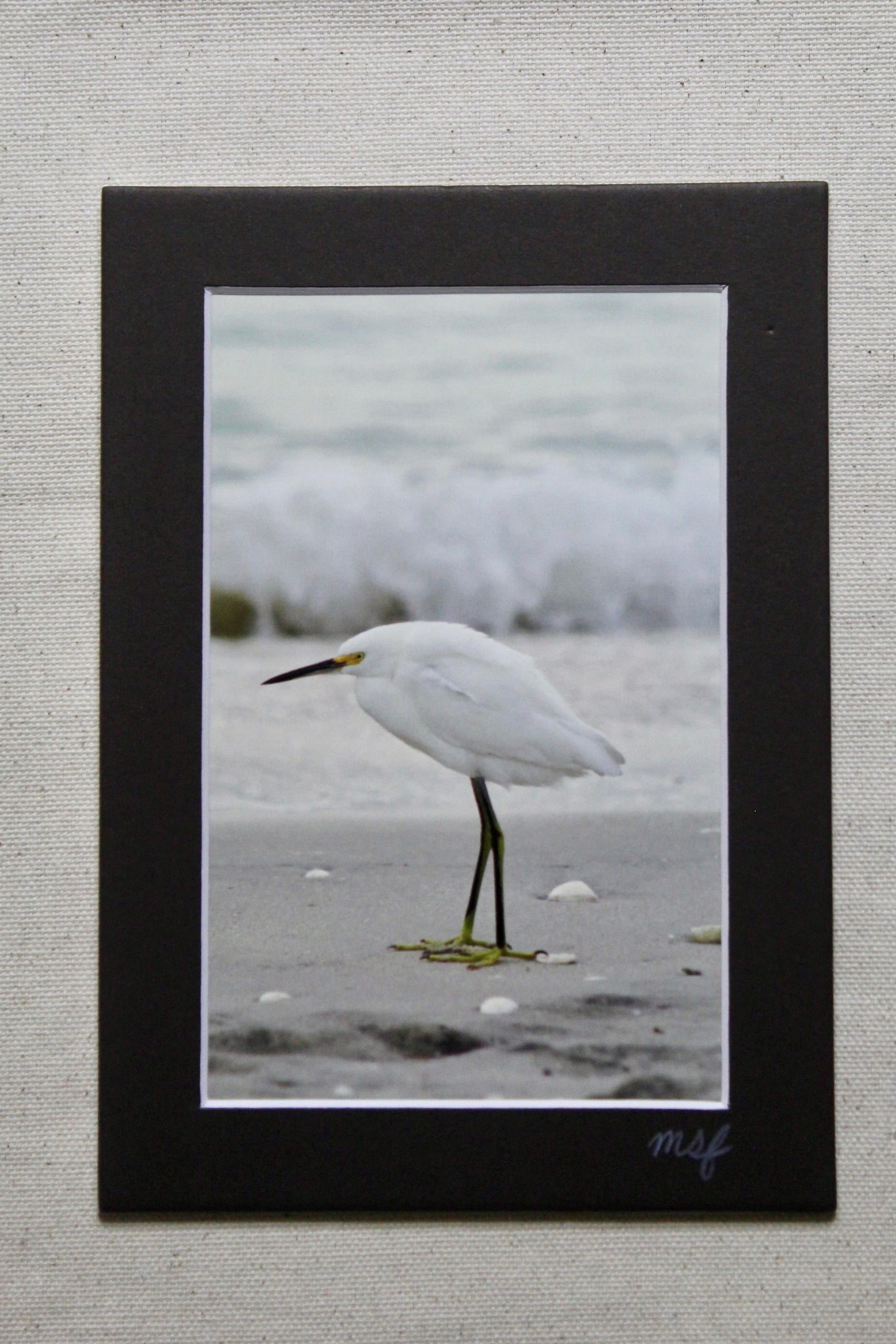 Sea Bird 3 Print