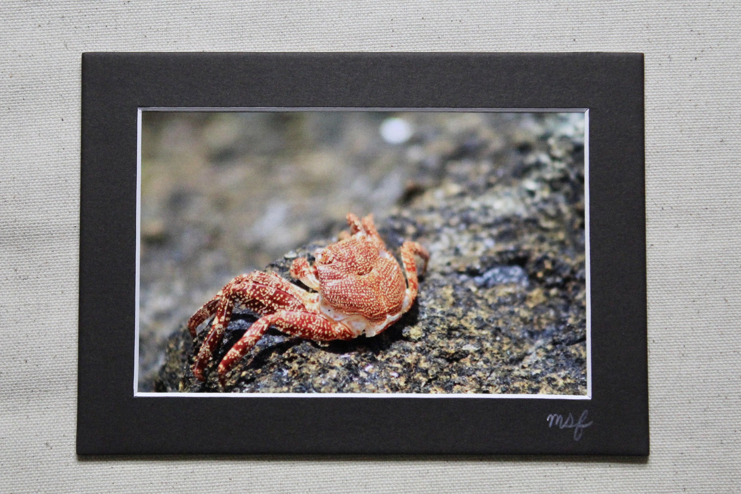 Crab Print
