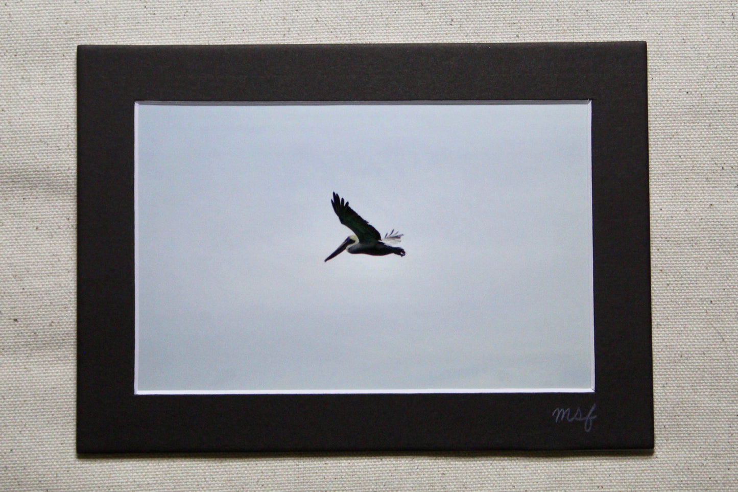 Flying Pelican Print