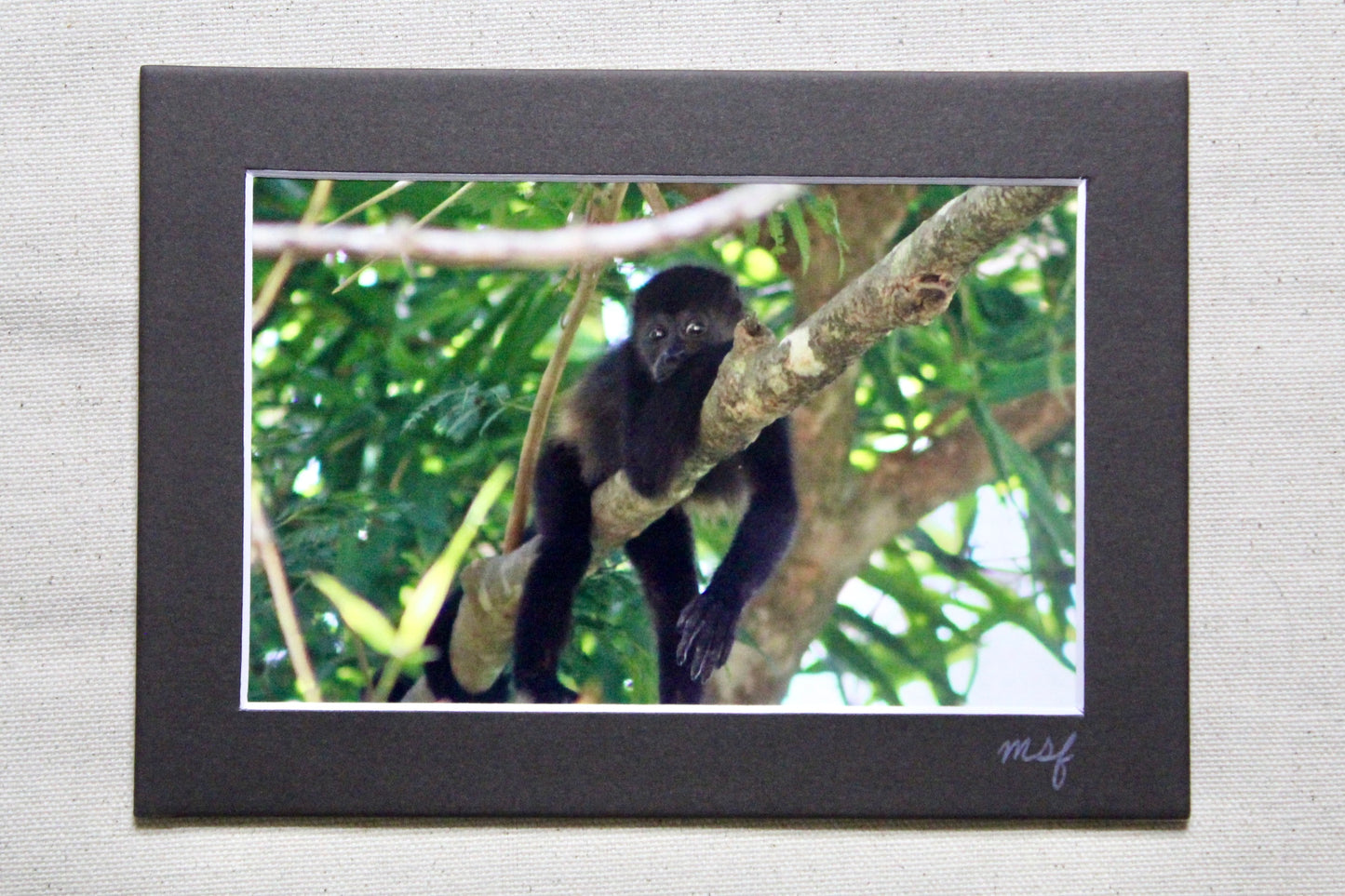 Baby Monkey Print