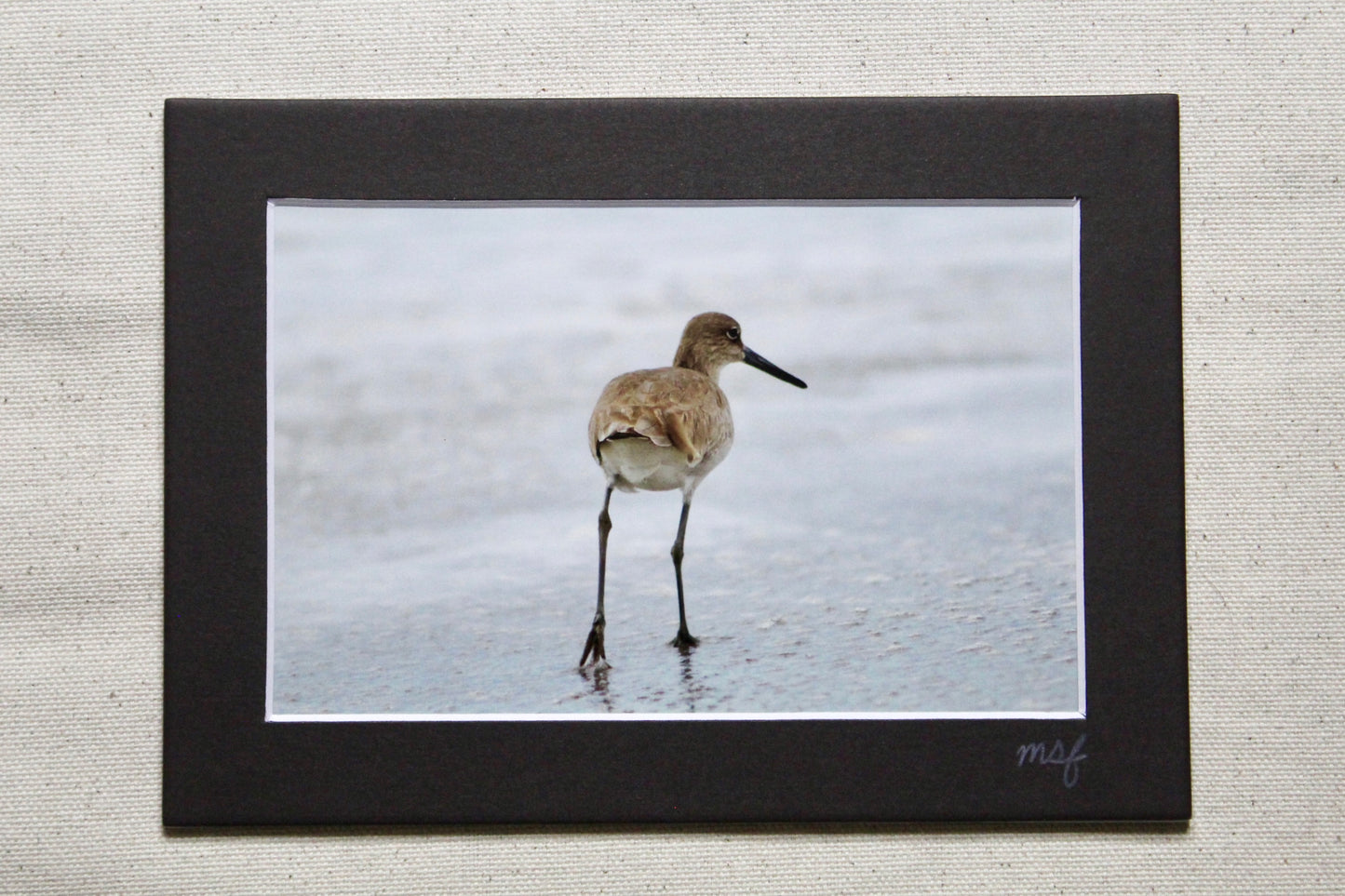 Sea Bird Print