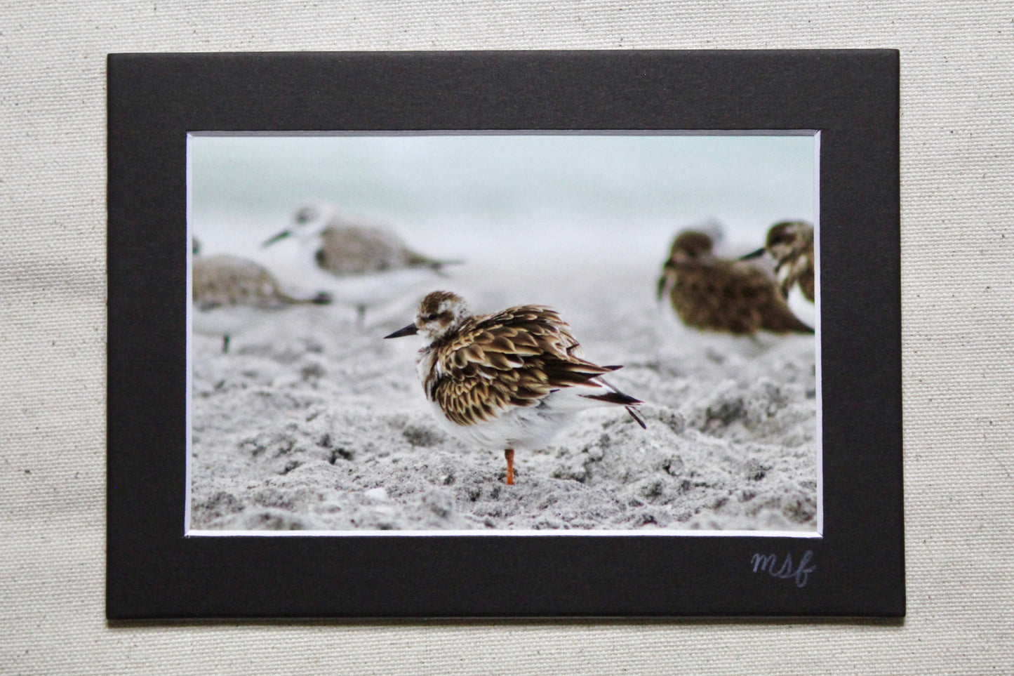Sea Bird 2 Print