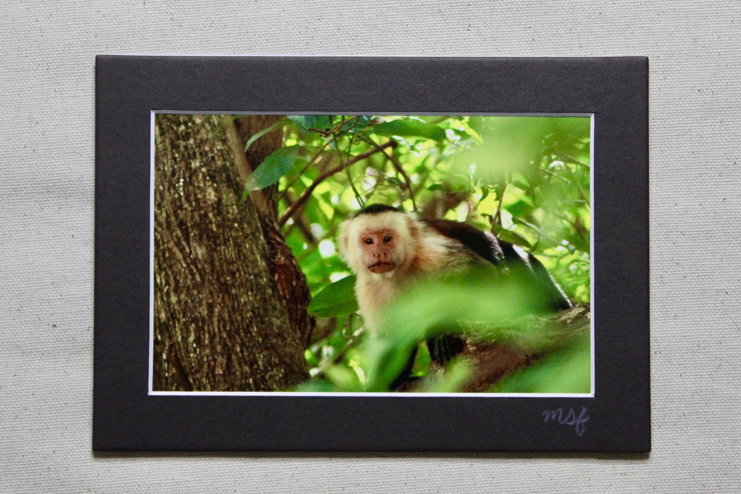 Monkey Print